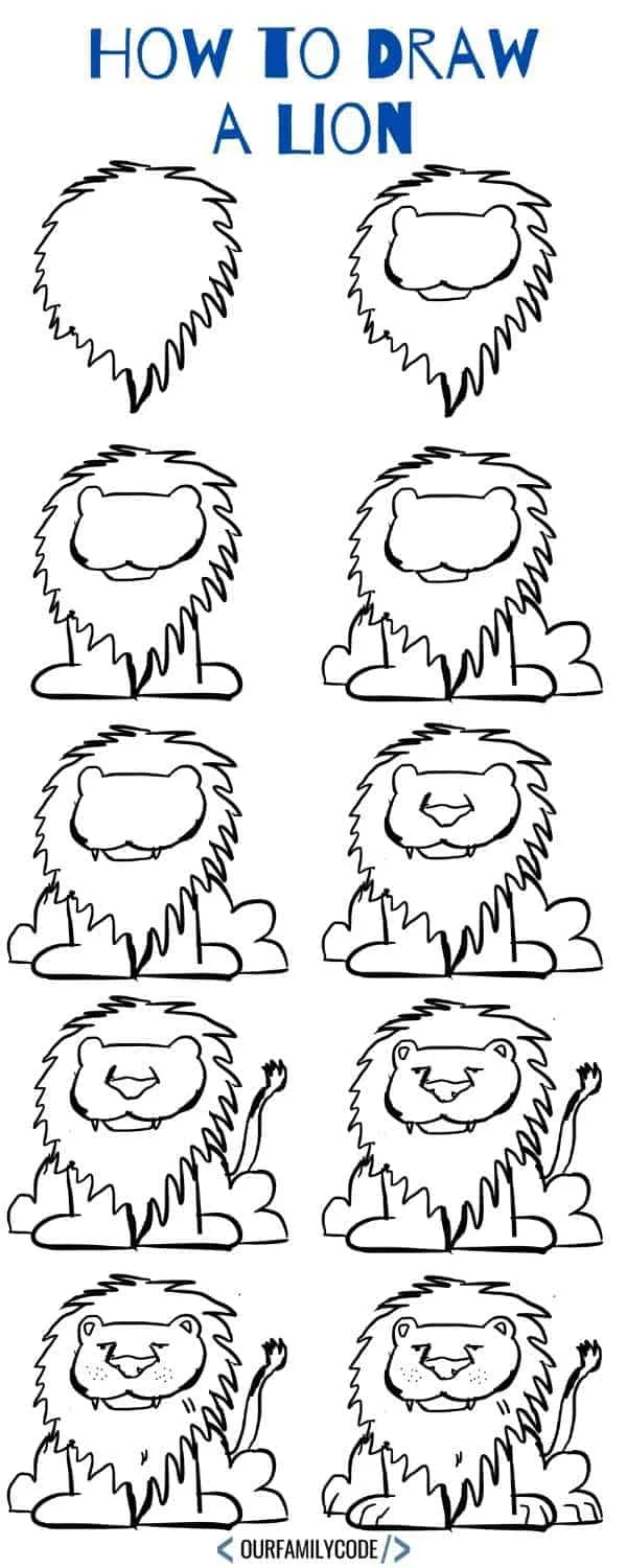 A picture of step by step pictures that show how to draw a lion.