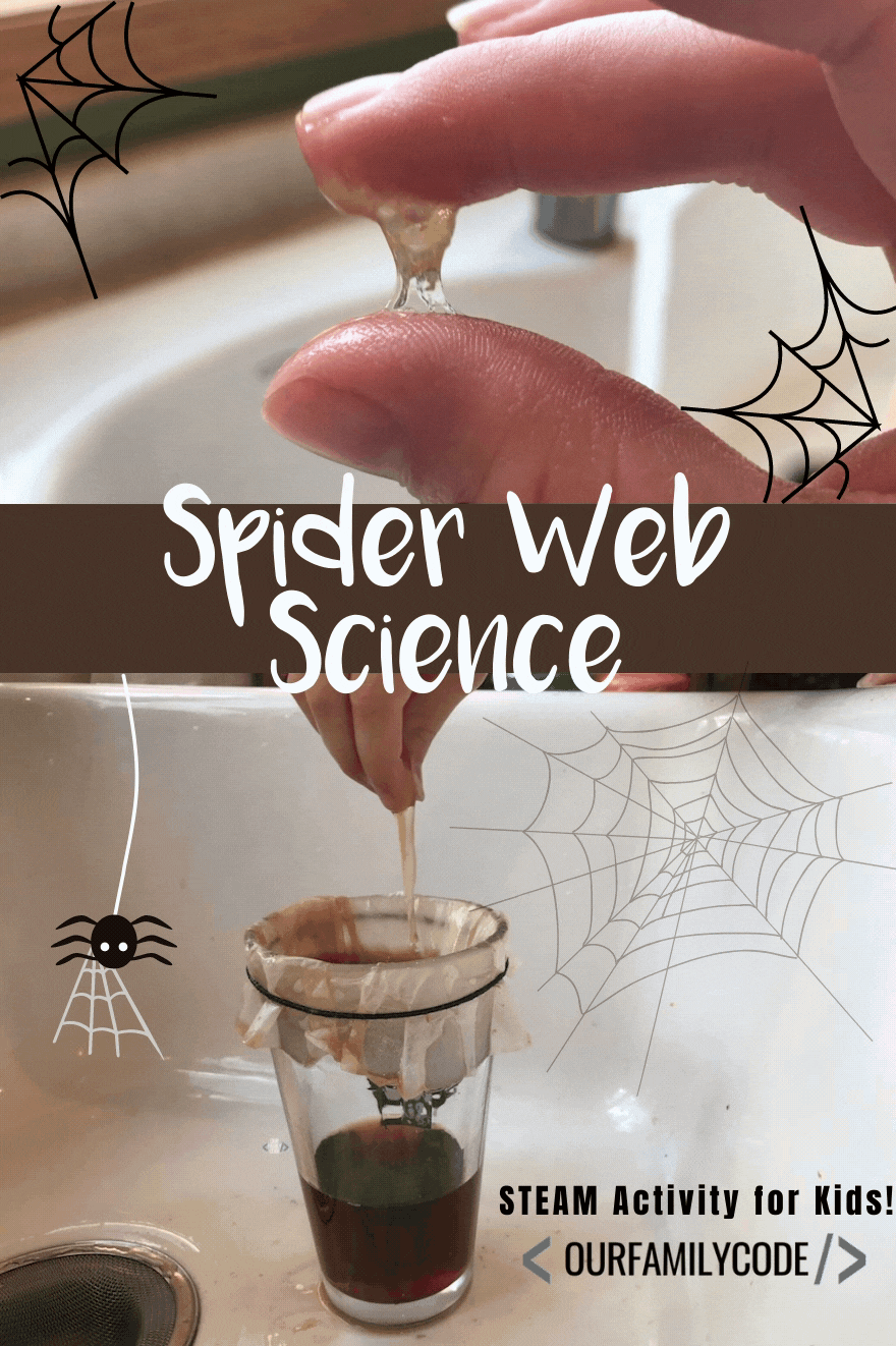 A picture of a spider web science steam activity for kids.