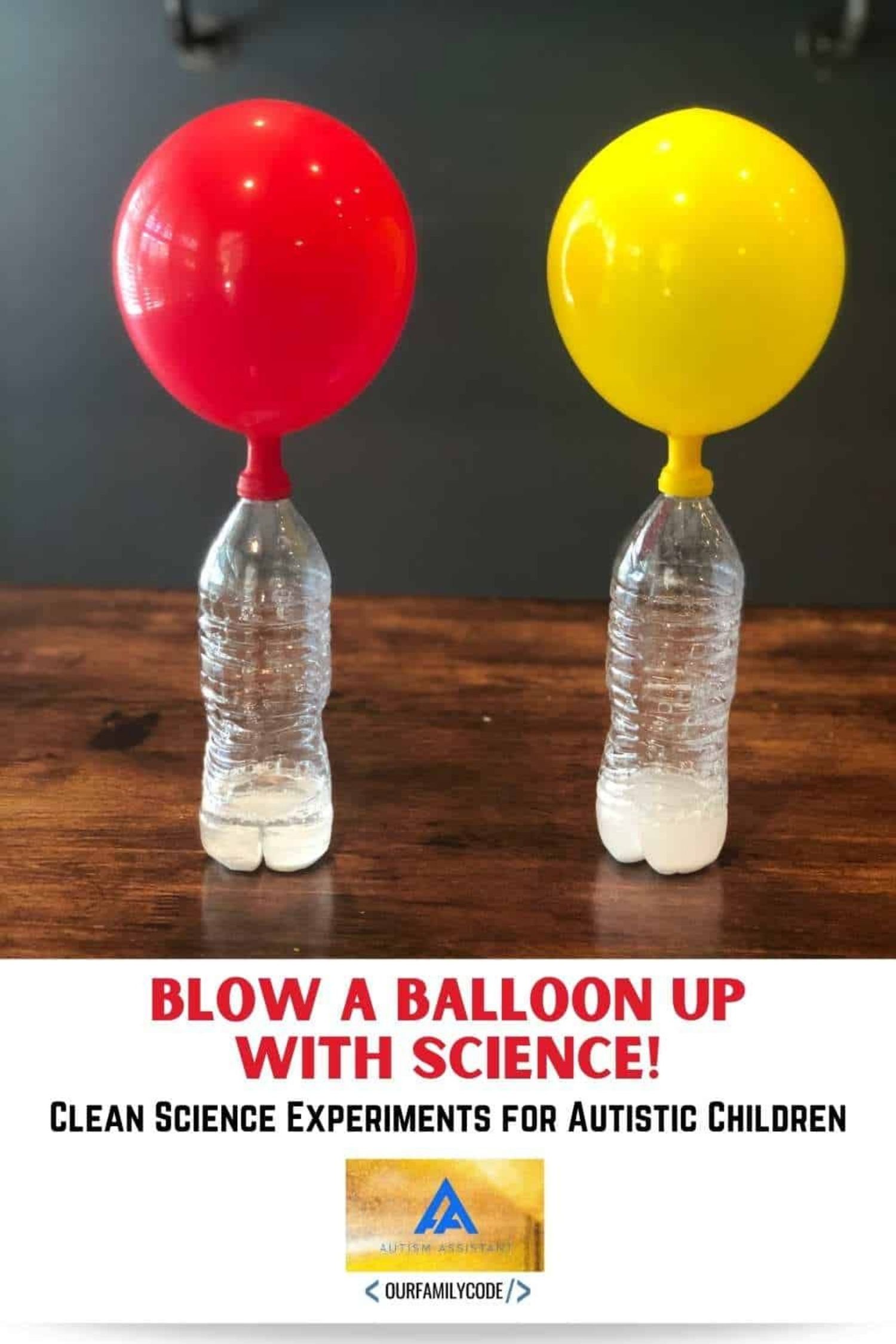 acid base balloon activity 