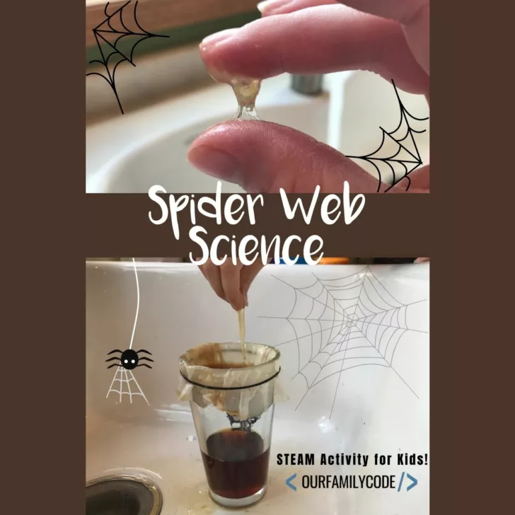 A picture of spider web science activity with sticky web made from eggs and black tea.