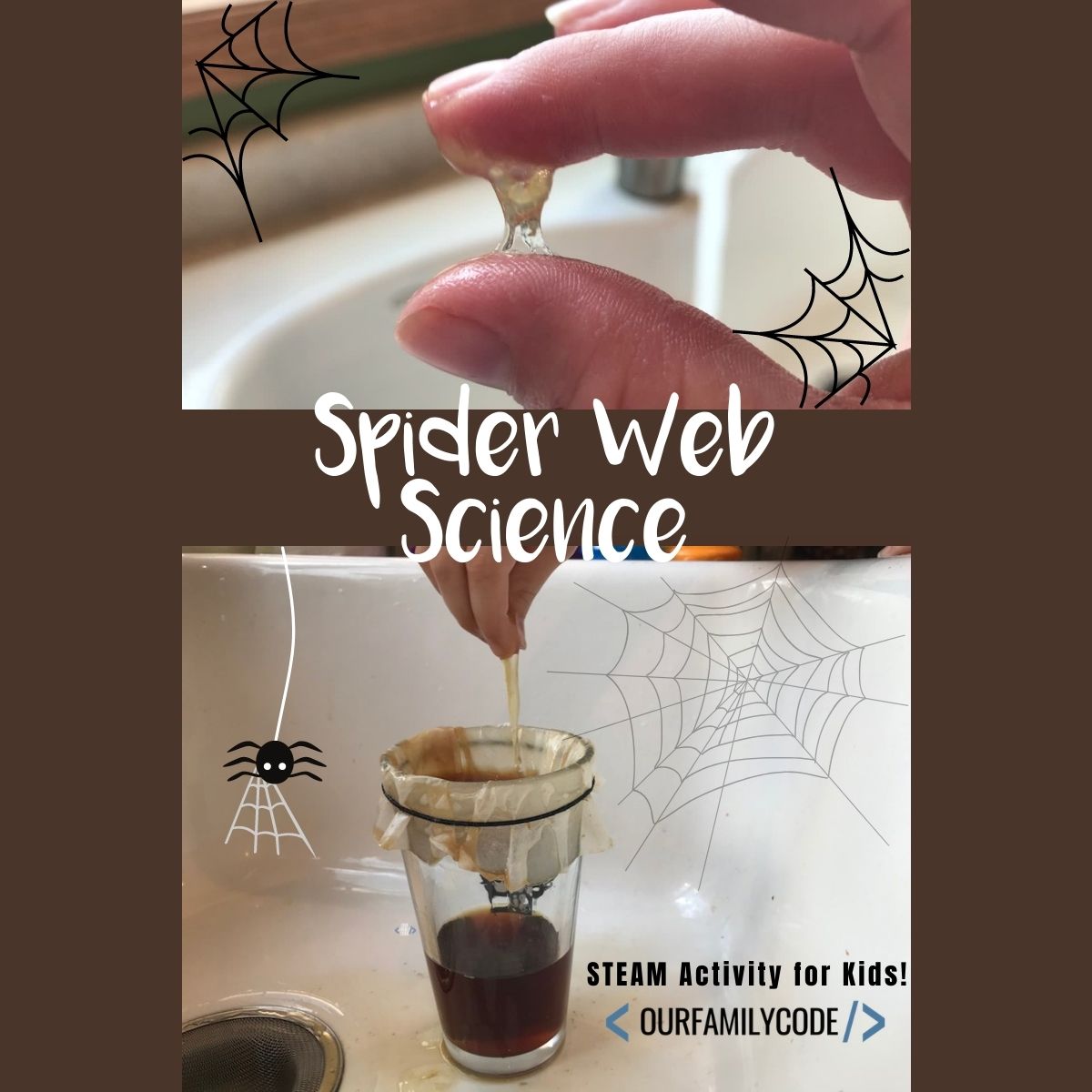 How to Make Sticky Spider Webs STEAM Activity fi spider web science steam activity for kids A picture of spider web science activity with sticky web made from eggs and black tea.