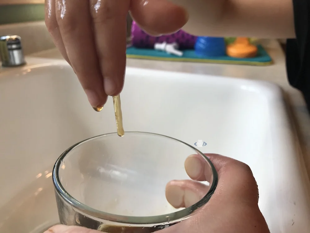 A picture of spider web science activity with sticky web made from eggs and black tea.