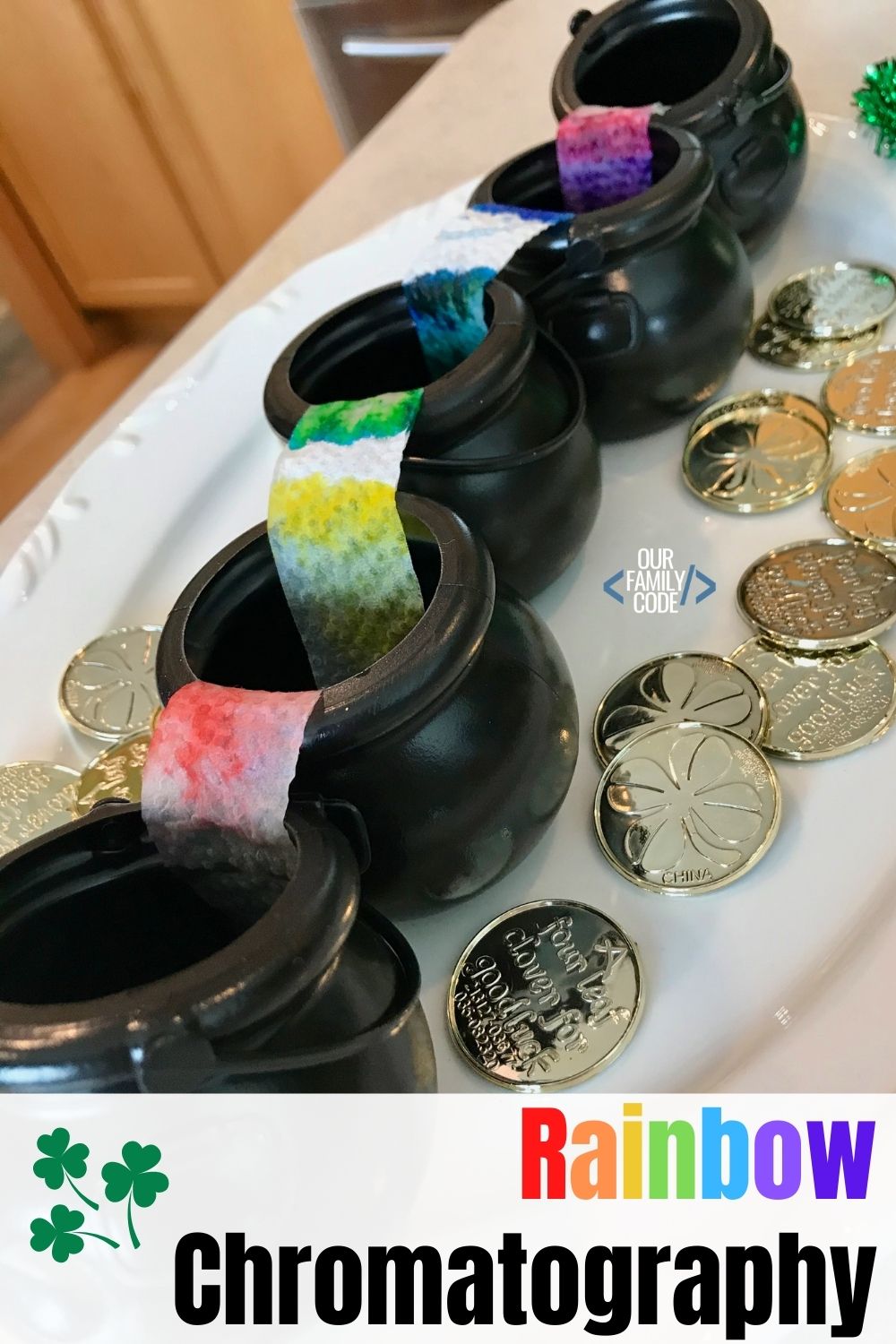 a picture of black cauldrons with paper towel rainbow chromatography activity