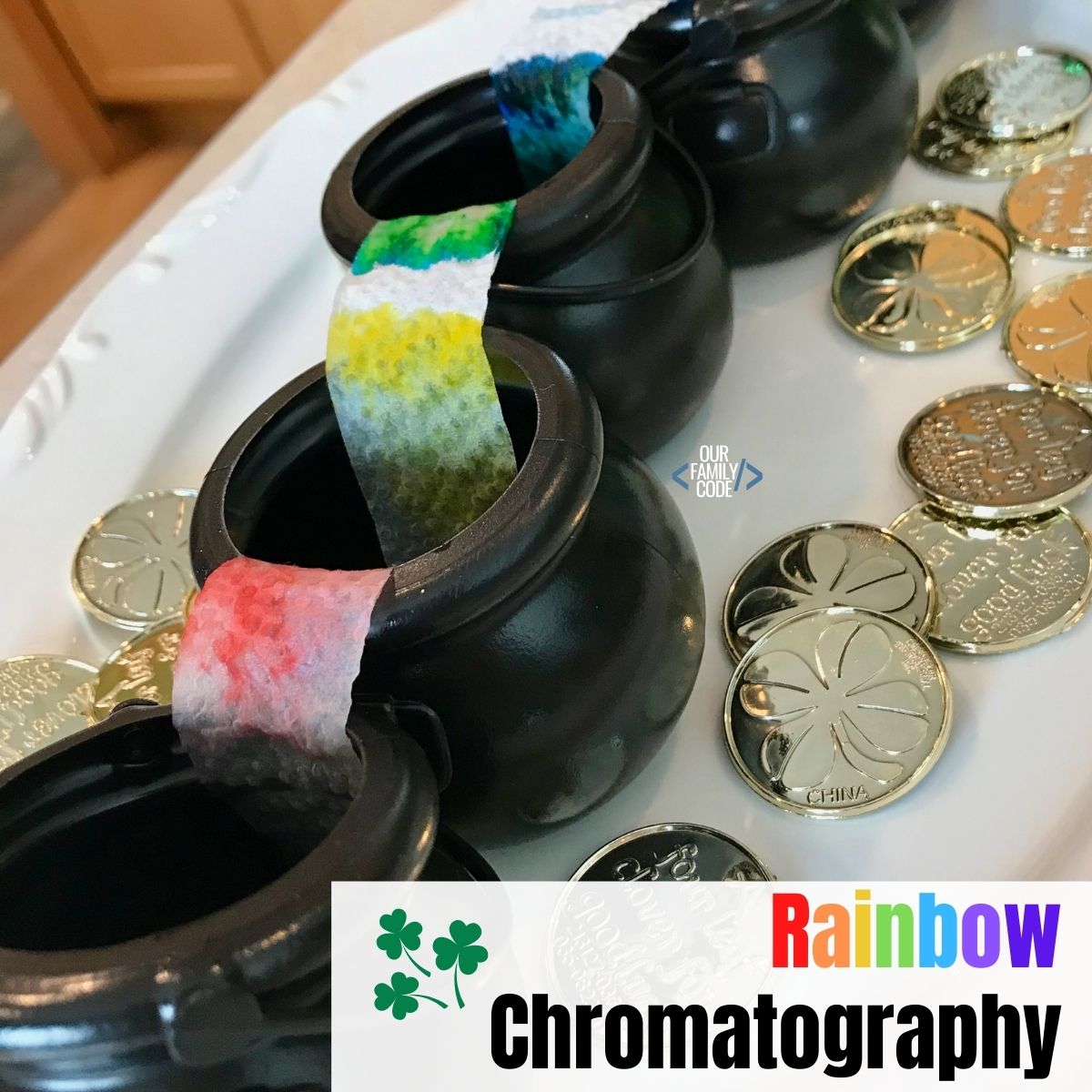 Grow a Rainbow Chromatography STEM Activity Our Family Code