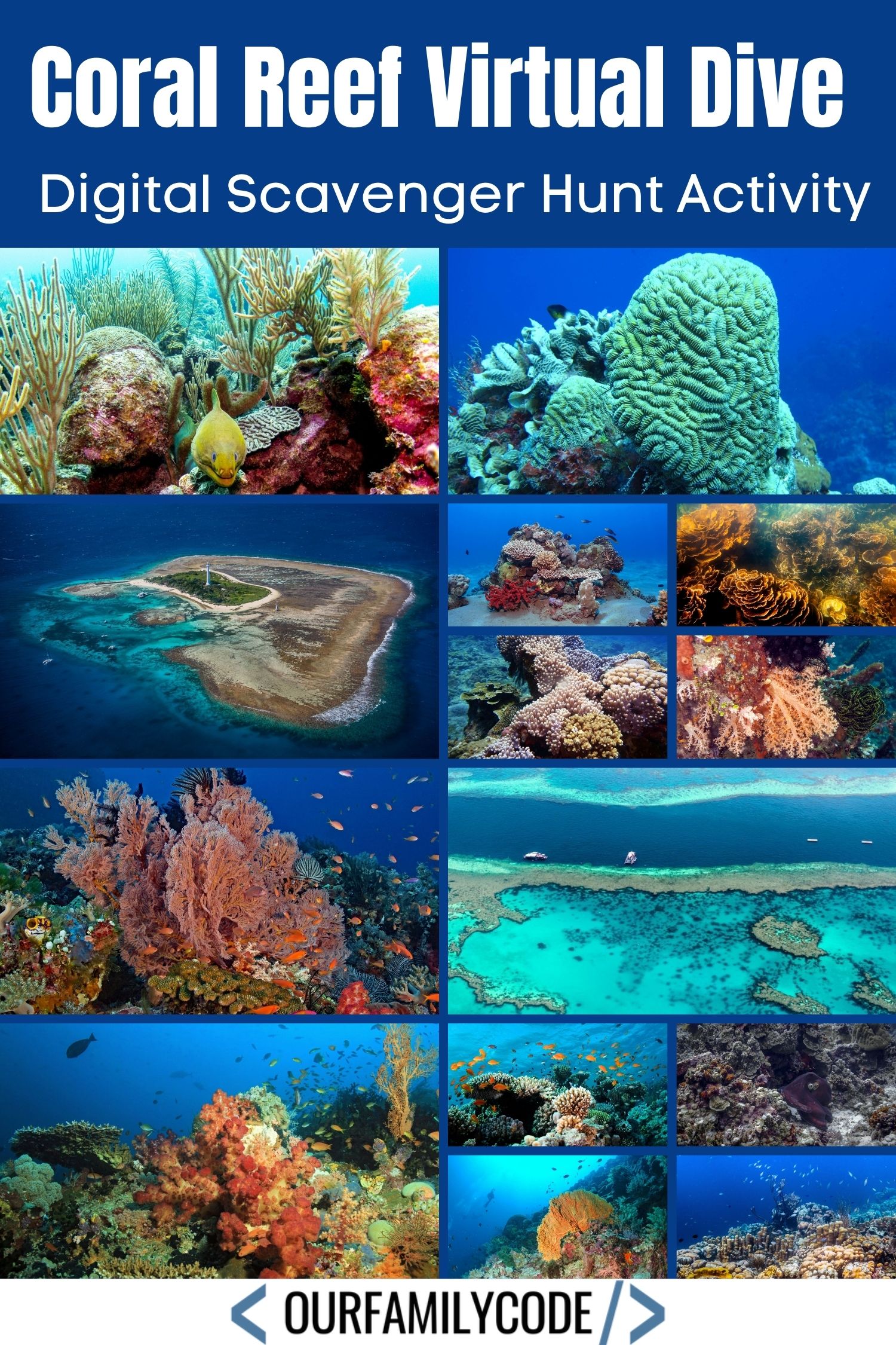 A picture of 14 coral reefs and "Coral Reef Virtual Dive" in white text.