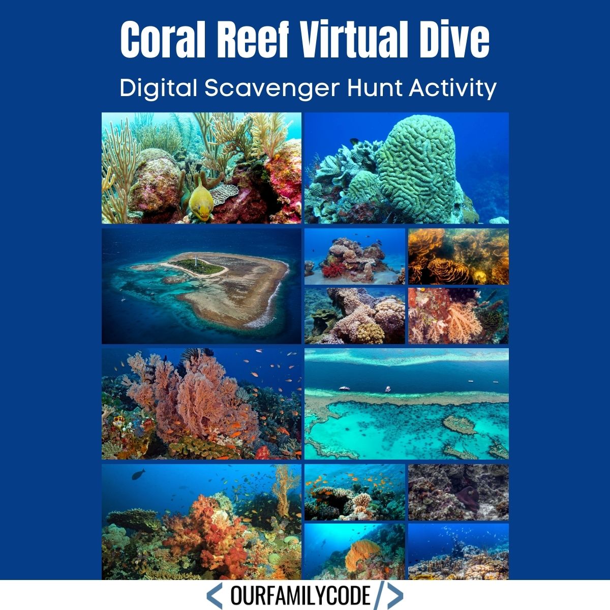 Coral Reef Virtual Dive blog post image