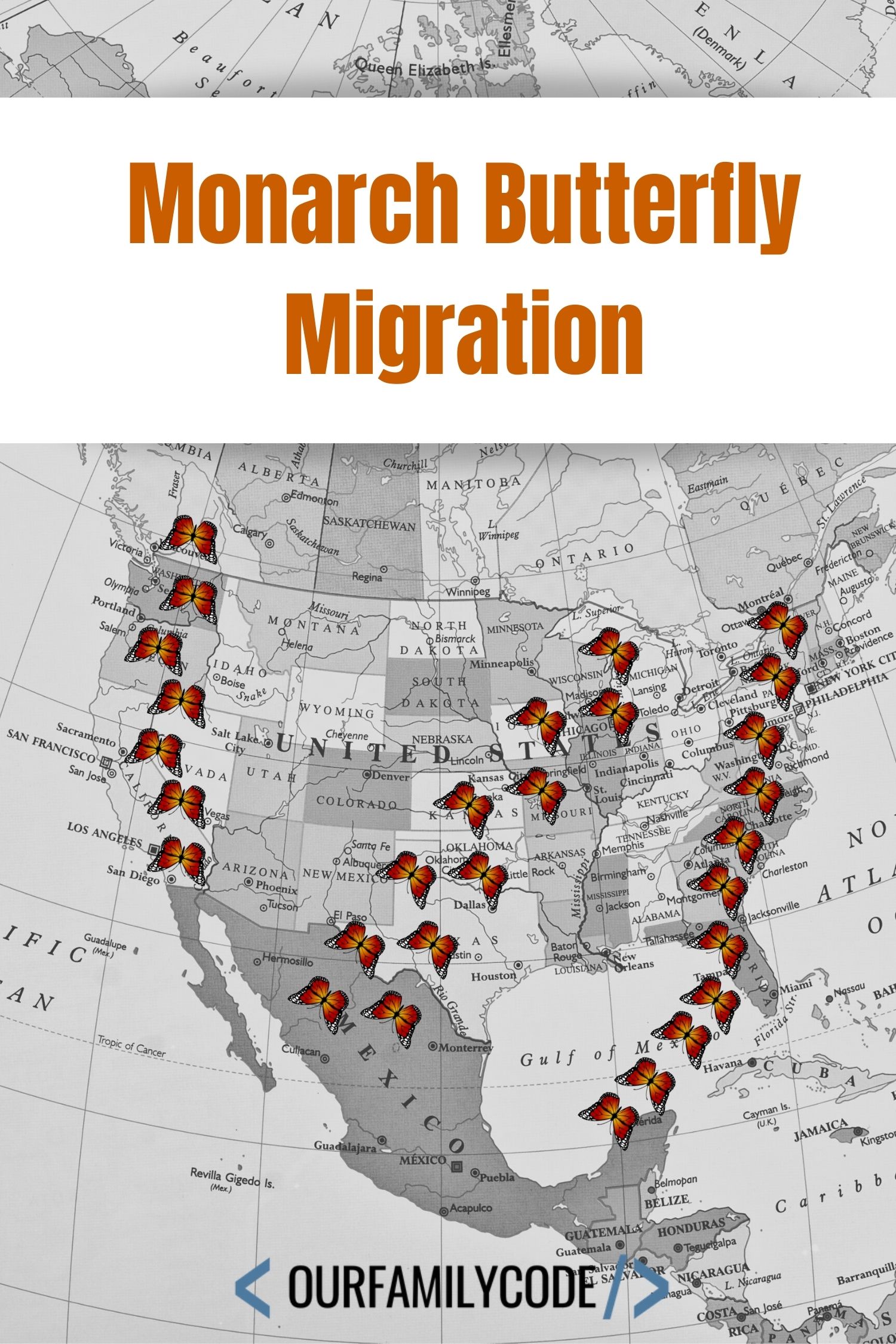 A picture that shows the paths of monarch butterflies during migration.