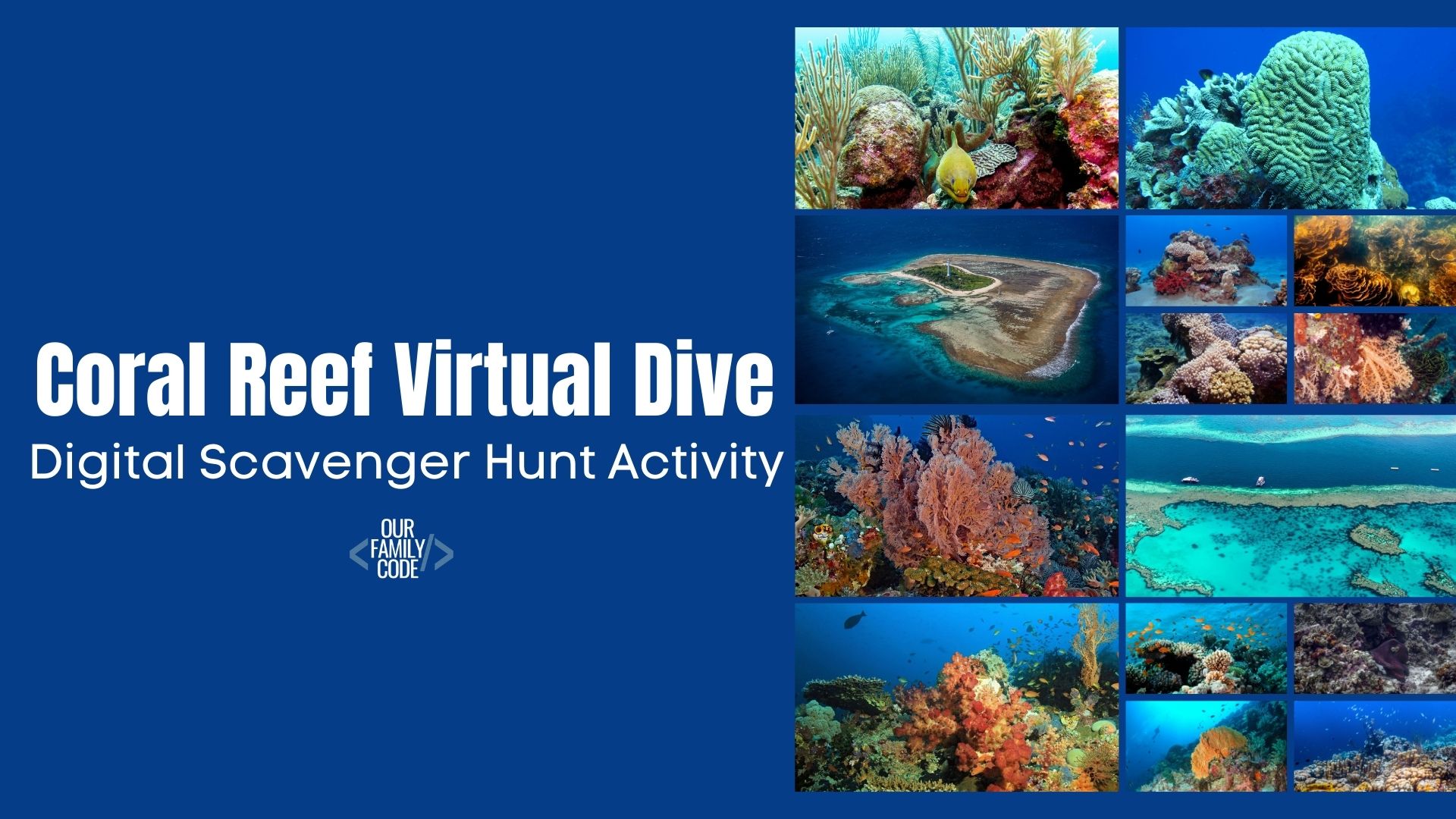 A picture of 14 coral reefs and "Coral Reef Virtual Dive" in white text.