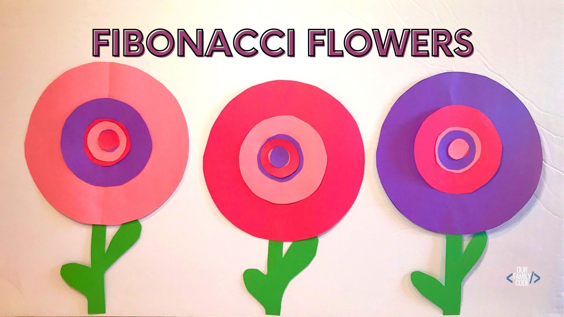 A picture of three Fibonacci flowers for a Fibonacci activity for kids.