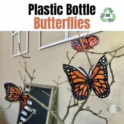fi plastic Bottle butterflies recycled art
