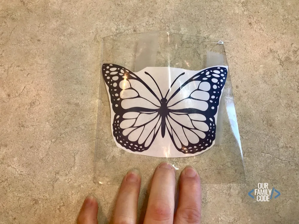 A picture of a plastic sheet with a butterfly taped to the back.