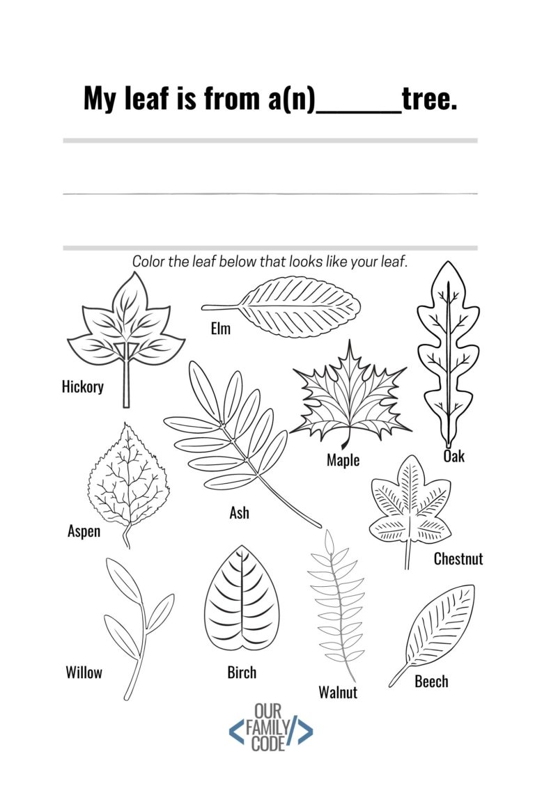 Leaf Rubbing Worksheets