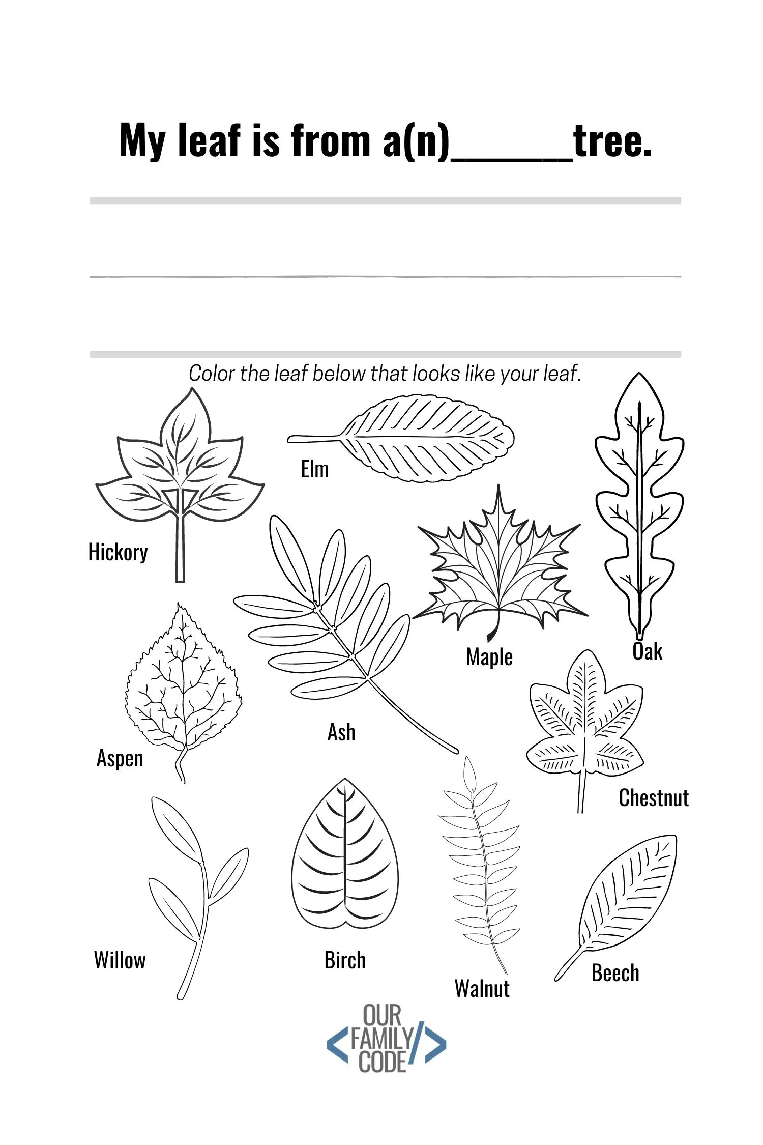 leaf classification workbook