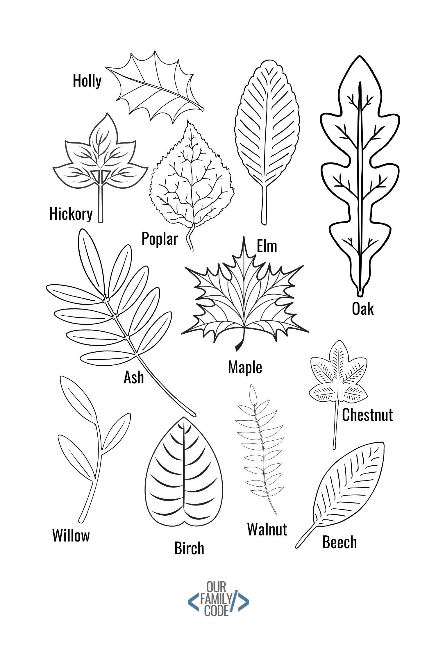 leaf coloring page