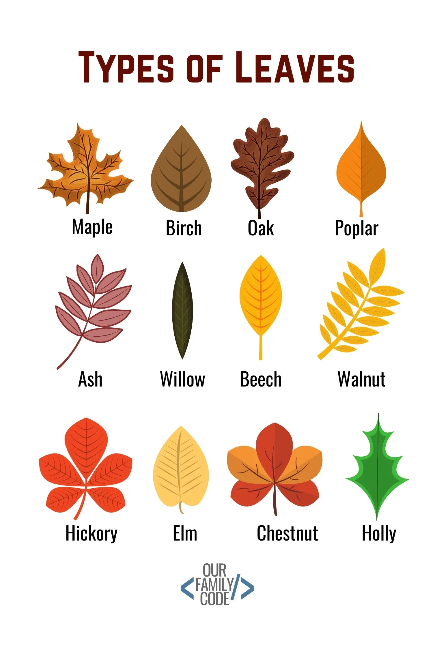 types of leaves