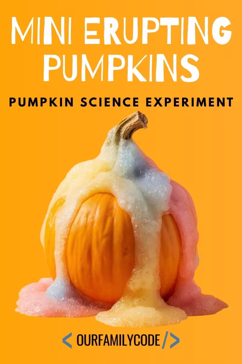 an image of a mini erupting pumpkin covered in a baking soda vinegar reaction